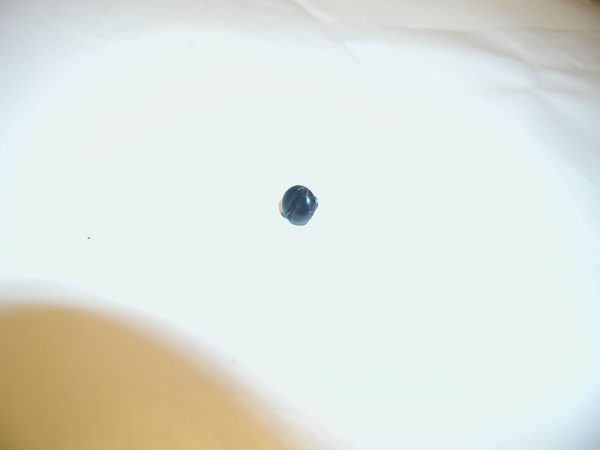 Bryco Arms 38 - Grip Screw, Used