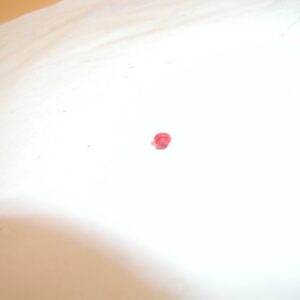 GAMO P-25 Blowback Pistol - Red Dot